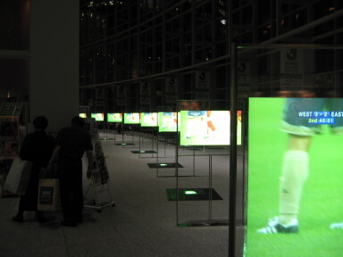 img4514_Zn.jpg