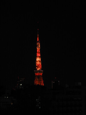 img4523_Zn.jpg