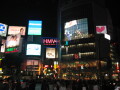img4538_Zn.jpg