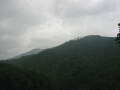 img6098_Zn.jpg