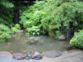 img6109_Zn.jpg