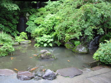 img6109_Zn.jpg