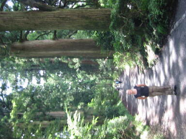 img6153_Zn.jpg