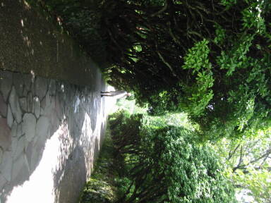 img6155_Zn.jpg