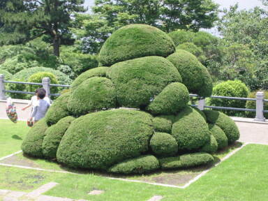 img6163_Zn.jpg