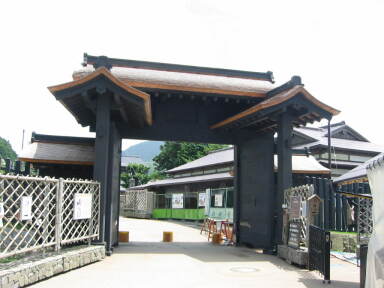 img6164_Zn.jpg