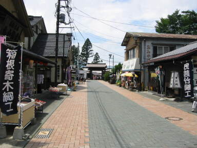 img6165_Zn.jpg