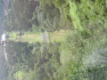 img6188_Zn.jpg