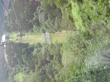 img6188_Zn.jpg