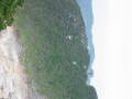 img6192_Zn.jpg