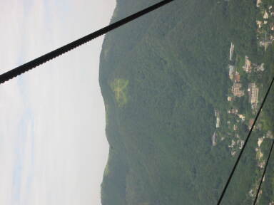 img6203_Zn.jpg