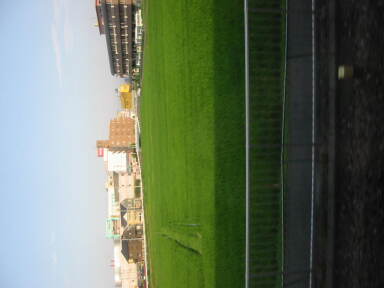 img6216_Zn.jpg
