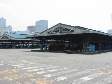 img6226_Zn.jpg
