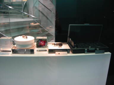 img6241_Zn.jpg