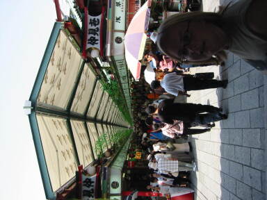 img6255_Zn.jpg